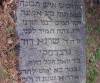 Grave of Shraga Dawid Gruberski son of Yoel
Hillel HaLevi